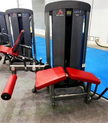 3Spessore del tubo.0 mm Estensione della gamba Curl della gamba inclina per allenamento di forza professionale
