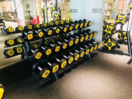 Strenamento di forza Piastra di peso per paraurti con logo personalizzato disponibile attrezzature per palestra