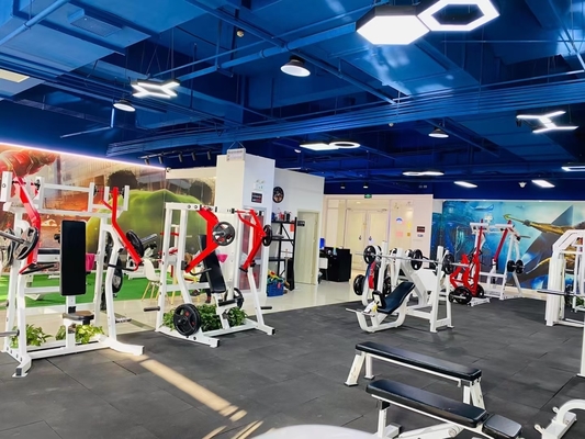3.0 Spessore del tubo Spalla laterale Press Strength Machine per attrezzature da palestra commerciali