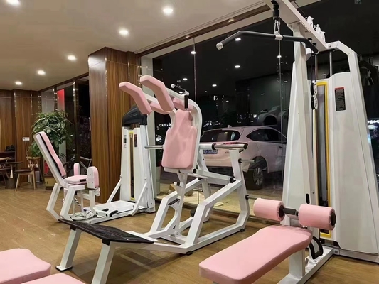 Commercial Plate Loaded Steel Q235 Vertical Calf Quads Hack Squat Machine per il fitness