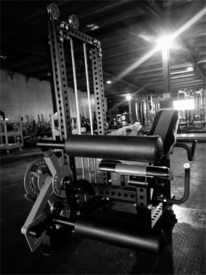 Leg curl/prone leg curl/leg extension Medium Loader per attrezzature da fitness in acciaio