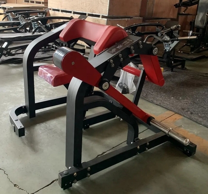 Commercial Strength Biceps Triceps Machine FM-12 Gym Equipment con costruzione in acciaio