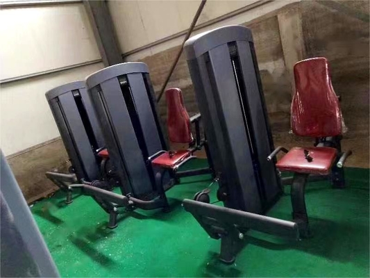 3.0mm Tubo Strength Training Indoor Sitting Calf Raising Machine con selezione del carico degli spilli