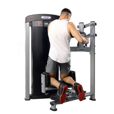 Commercial Gym Fitness Sets Steel Indoor Torso Rotation Machine per prestazioni ottimali