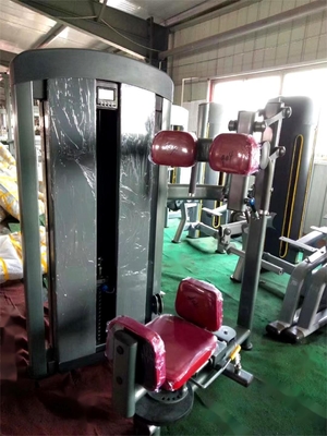 Commercial Gym Fitness Sets Steel Indoor Torso Rotation Machine per prestazioni ottimali
