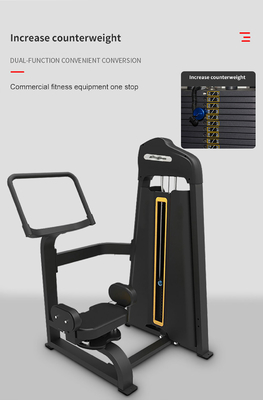 Centro di fitness commerciale Universal Pin caricato rotativo Torso Machine per l' allenamento addominale