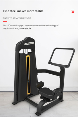 Centro di fitness commerciale Universal Pin caricato rotativo Torso Machine per l' allenamento addominale