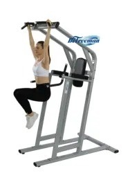 Attrezzature per palestra Pull Up Bar Leg Raising e Chest Shoulder Workout Power Tower Dip Station