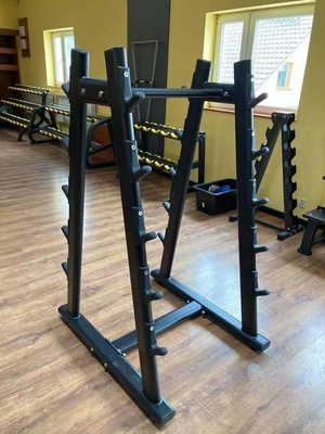 Aggiornate la vostra palestra con il 1020*850*1550 mm Commercial Vertical Barbell Rack di Befreeman