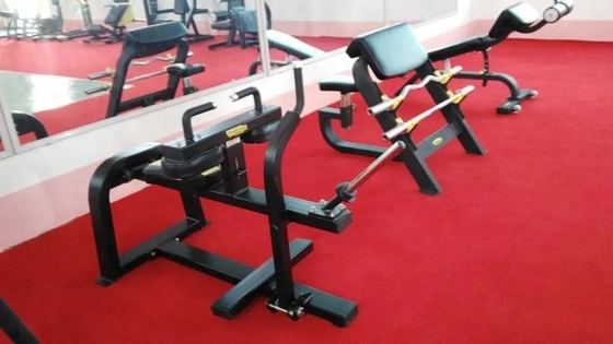 Apparecchiature per fitness per palestra commerciale Macchina per sollevare i vitelli con logo personalizzato disponibile
