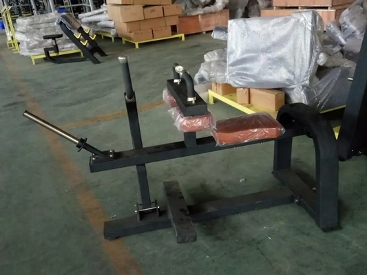 Apparecchiature per fitness per palestra commerciale Macchina per sollevare i vitelli con logo personalizzato disponibile