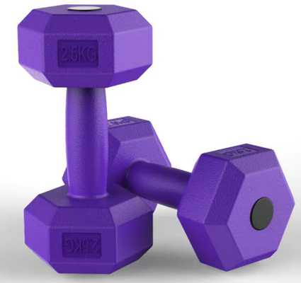 Metallo e gomma Home Gym Fitness Equipment Hex Manubrio con colore personalizzato