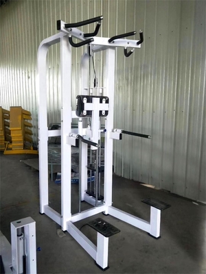 Macchina di allenamento funzionale per il bodybuilding per Power Tower