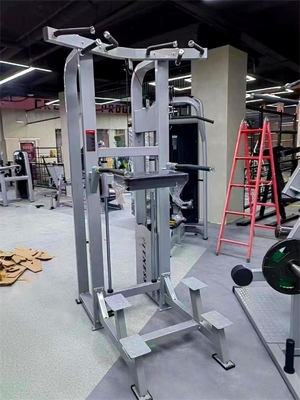Macchina di allenamento funzionale per il bodybuilding per Power Tower