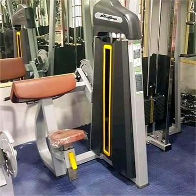 Attrezzatura fisica per palestra professionale Bicep seduta macchina per allenamento di forza allenamento