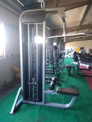 Formazione di forza commerciale Strensamento della schiena Macchina di palestra stile di allenamento con pesi