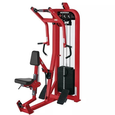 Sport Indoor Steel Pin Load Selection Back Extension Seated Row Machine per il commercio