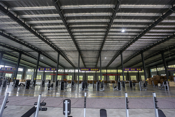 Gym Center Cornice Colore opzionale Sceltibile mento Immersione Gambe Alzare Esercizio Fitness Machine