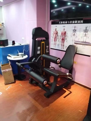 Macchina di curling per estensione delle gambe del sedile regolabile per allenatori funzionali