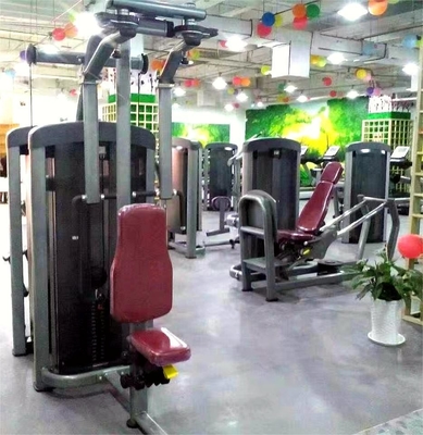 Macchina per mosca Pec con caricamento medio commerciale per palestra di fitness, allenamento per la forza, selezione del caricamento del perno