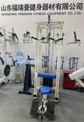 Allenamento di forza 2 in 1 attrezzatura per allenamento a bassa fila con regolazione a più livelli