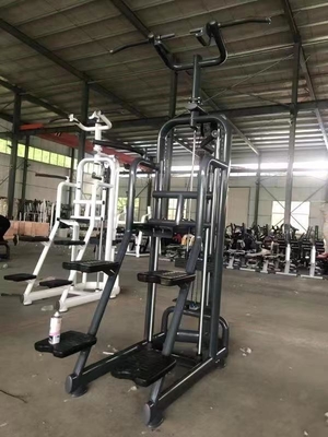 Medium Loader Strength Training Assist Chin Dip Machine opzionale colore del telaio selezionabile