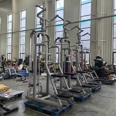 Medium Loader Strength Training Assist Chin Dip Machine opzionale colore del telaio selezionabile
