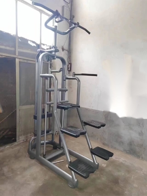 Medium Loader Strength Training Assist Chin Dip Machine opzionale colore del telaio selezionabile