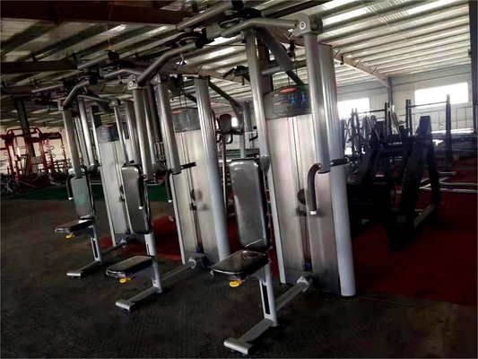 2020 Design Commercial Rear Delt Pec Fly Machine con colore opzionale selezionabile del telaio