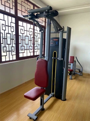 2020 Design Commercial Rear Delt Pec Fly Machine con colore opzionale selezionabile del telaio