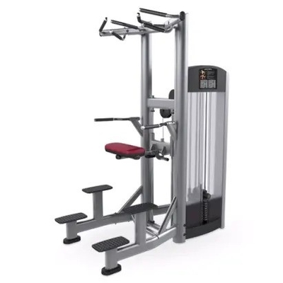 Strength Training Pin caricato Pull Up Bar Triceps Deltoids Workout Dipping Machine