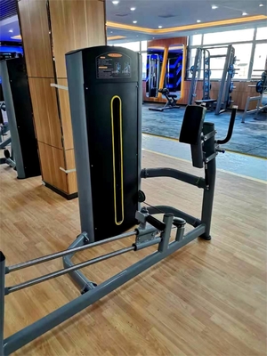 La macchina per il gluteo kickback, l' aggiunta perfetta al tuo allenamento di forza del centro di palestra.