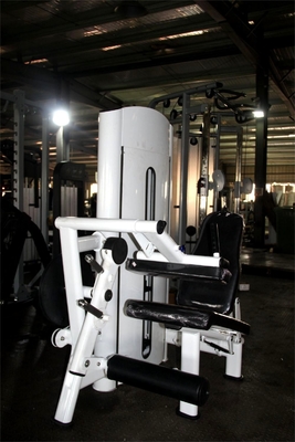 Regolabile in acciaio seduto Calf Esercizio Pin carico Leg Curl Machine 1600 * 1200 * 1750 mm