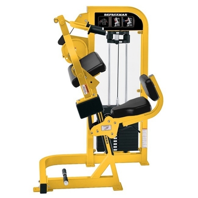 Macchina per il tricipito per l'allenamento di forza Bicip Curl/Tricip Extension in attrezzature per palestra
