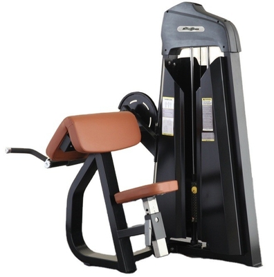 Equipaggiamento commerciale per allenamento di forza per palestra Bicep Curl Machine con design personalizzato