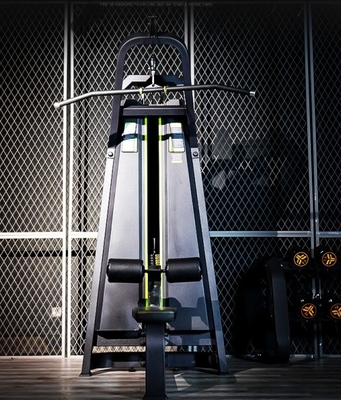 Spalle Ricerca di forza allenamento di alta puleggia Pulldown Home Esercizio Selezione di carico pin
