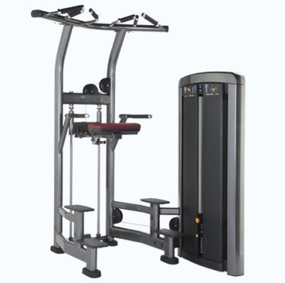 Acciaio Pin caricato Pull Up Bar Triceps Deltoids Workout Assisted Chin Dip Machine per acciaio