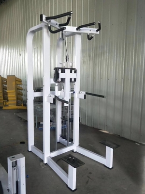 Logo personalizzato Pin caricato Fitness Selected Assist Dip Chin Machine per il bodybuilding 262KG