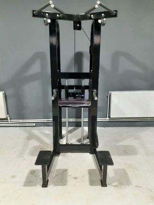 Logo personalizzato Pin caricato Fitness Selected Assist Dip Chin Machine per il bodybuilding 262KG