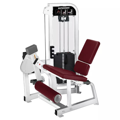Logo personalizzato Medium Loader Pin Loaded Seated Leg Extension Commercial Gym Fitness Machine