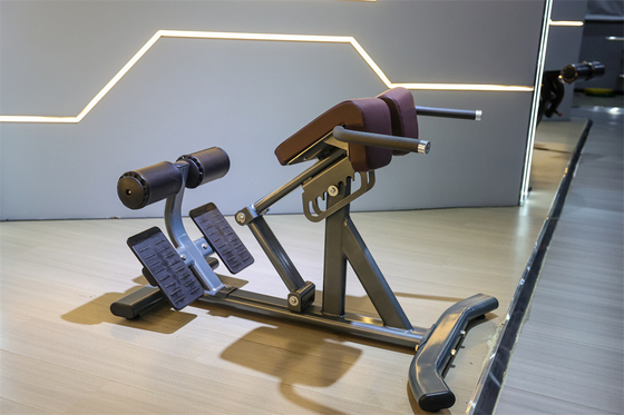 Attrezzature per il fitness commerciale Sedile romano con telaio in metallo 1360*790*880