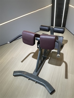 Attrezzature per il fitness commerciale Sedile romano con telaio in metallo 1360*790*880