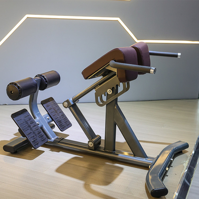 Attrezzature per il fitness commerciale Sedile romano con telaio in metallo 1360*790*880