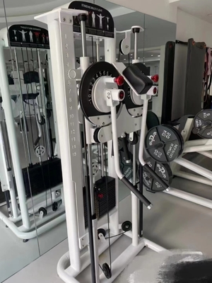Attrezzature di palestra multifunzione per l'estensione della schiena e l'innalzamento laterale in piedi