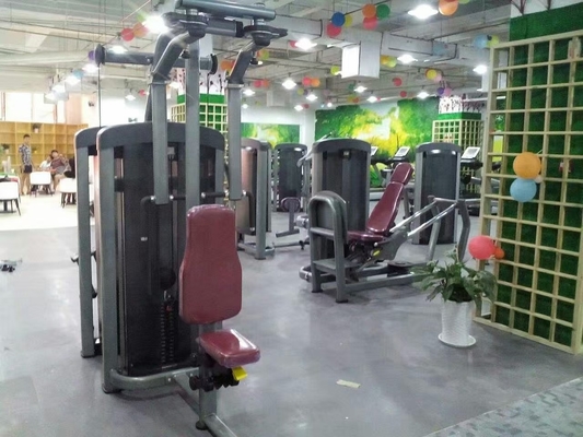 Attrezzatura di carico per palestra a spina posteriore Delt Pec Fly Machine personalizzata per l'allenamento di forza