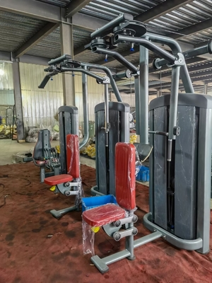 Attrezzatura di carico per palestra a spina posteriore Delt Pec Fly Machine personalizzata per l'allenamento di forza