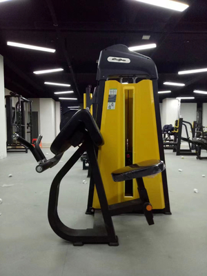 1380*930*1580 Commercial Strength Machine Camber Curl per attrezzature per palestra di Befreeman