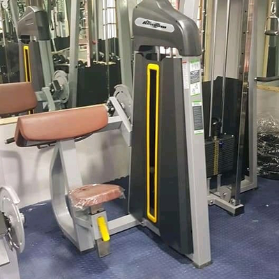 1380*930*1580 Commercial Strength Machine Camber Curl per attrezzature per palestra di Befreeman