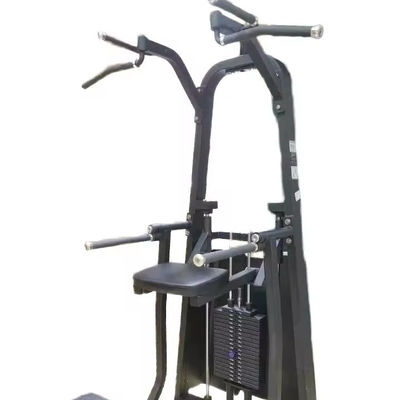 Macchina di ginnastica personalizzabile con dip/cinna assistita ideale per l'allenamento delle spalle e delle gambe
