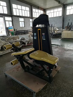Medium Loader Gym Equipment Fitness Leg Extension Leg Curl per la costruzione muscolare delle gambe